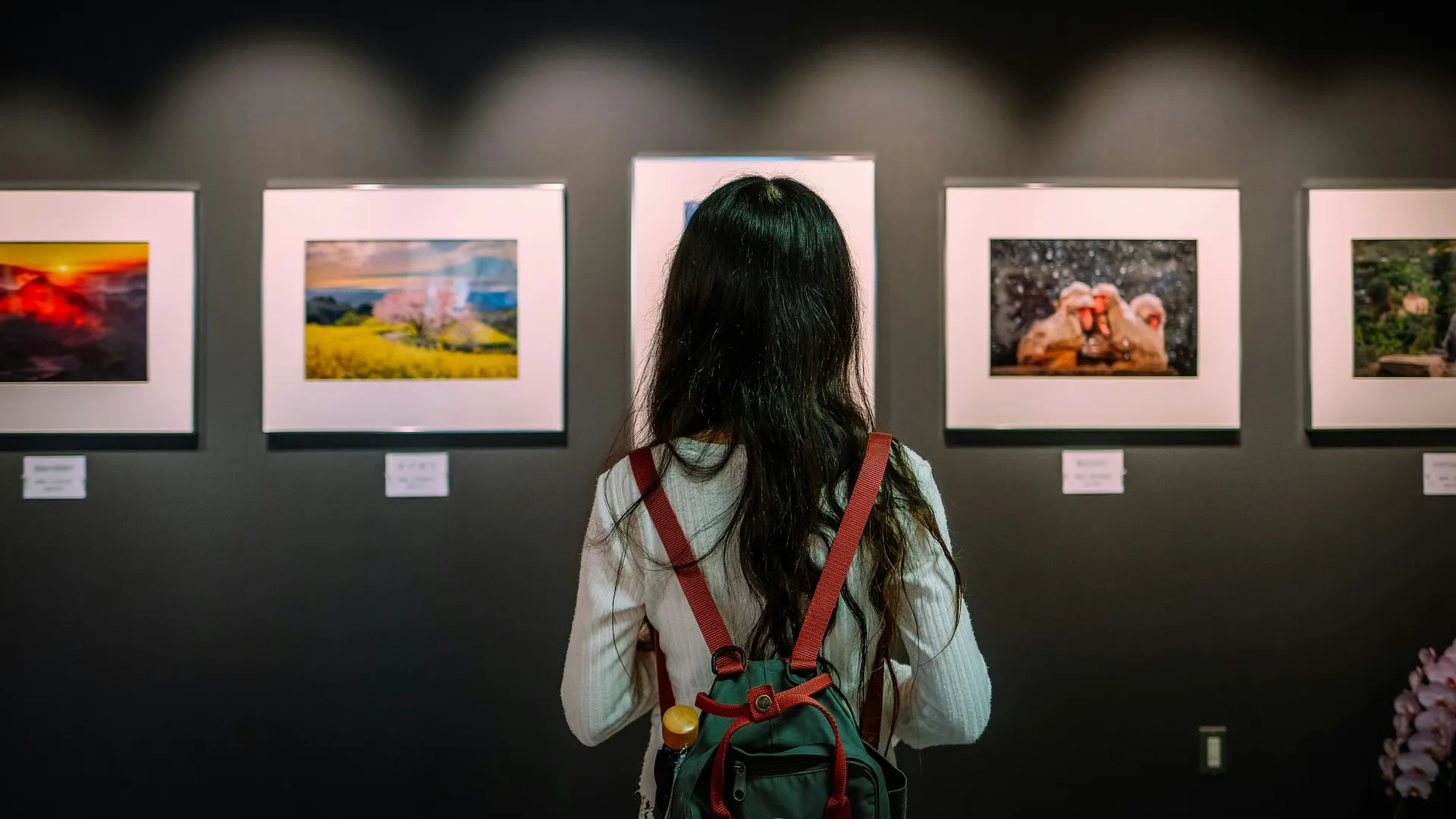Visitor viewing framed photographs in an art gallery