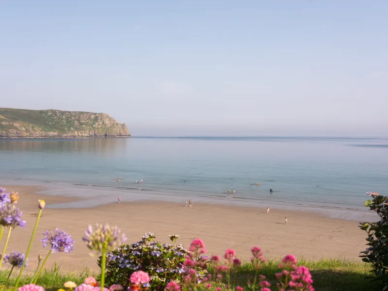 Calm sandy bay with swimmers, a rocky headland and colourful flowers in the foreground.