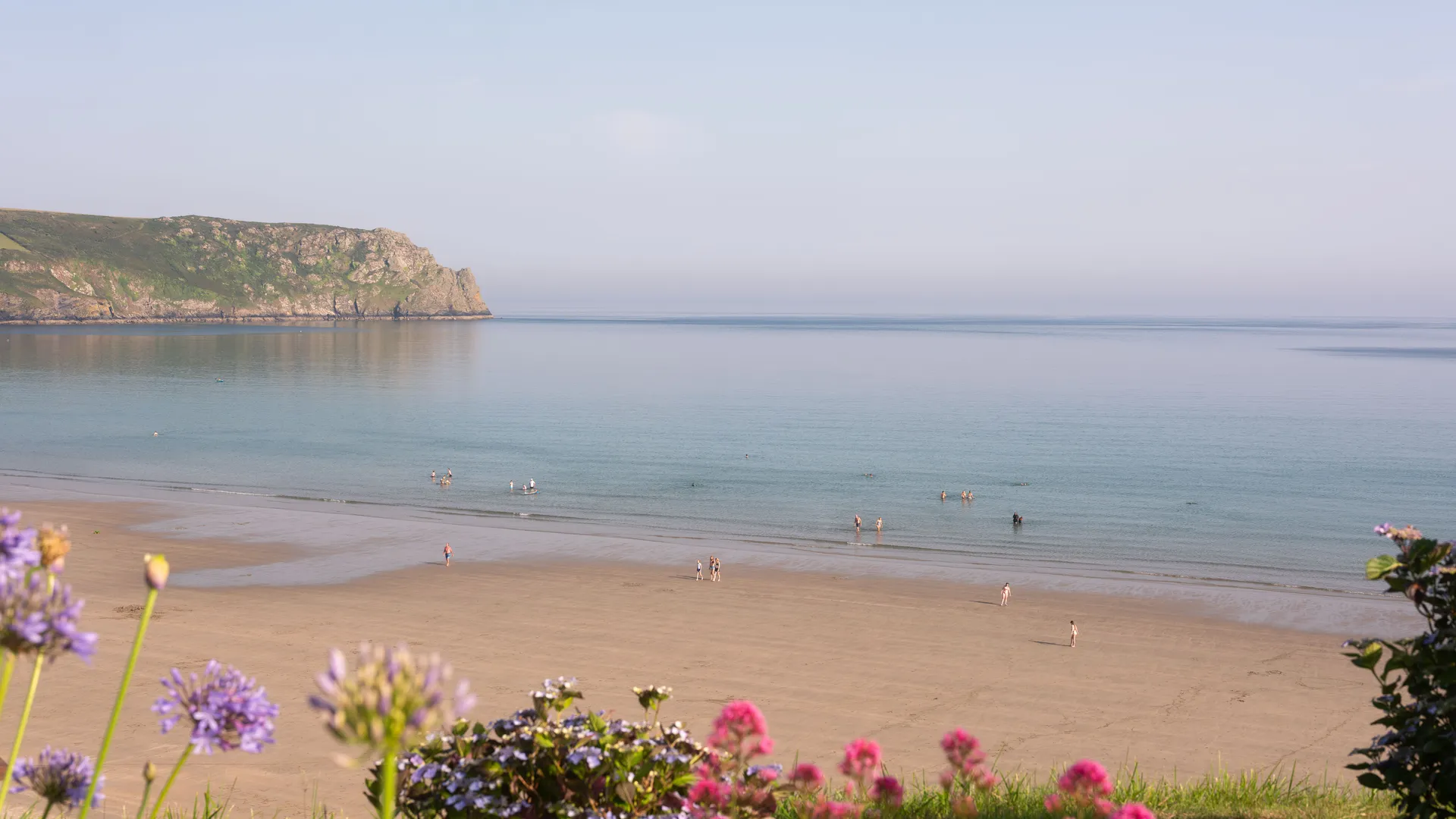 Calm sandy bay with swimmers, a rocky headland and colourful flowers in the foreground.