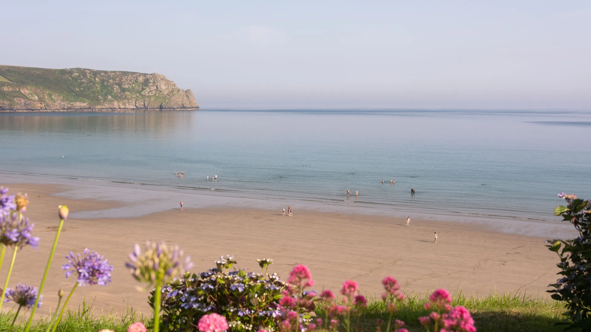 Calm sandy bay with swimmers, a rocky headland and colourful flowers in the foreground.
