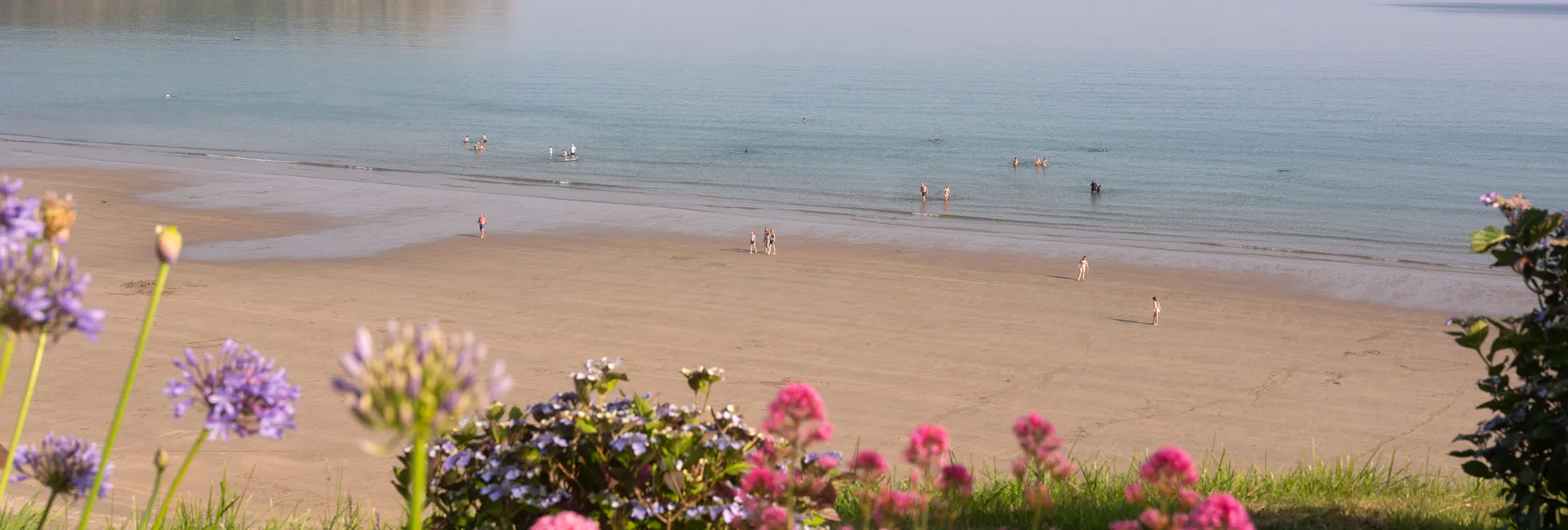 Calm sandy bay with swimmers, a rocky headland and colourful flowers in the foreground.