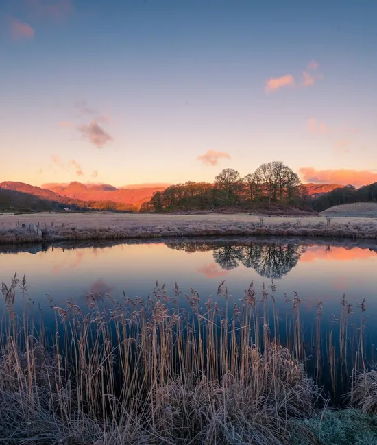 Frost-covered reeds beside still water reflecting trees and sunlit fells at dawn in Elterwater.