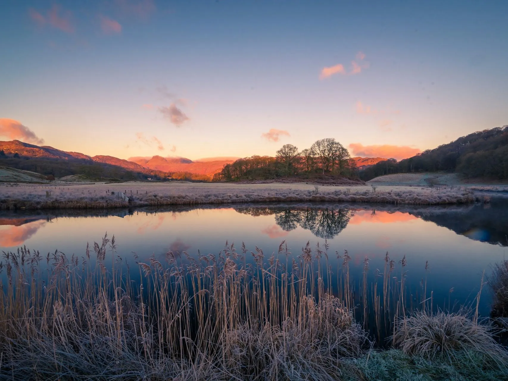 Frost-covered reeds beside still water reflecting trees and sunlit fells at dawn in Elterwater.