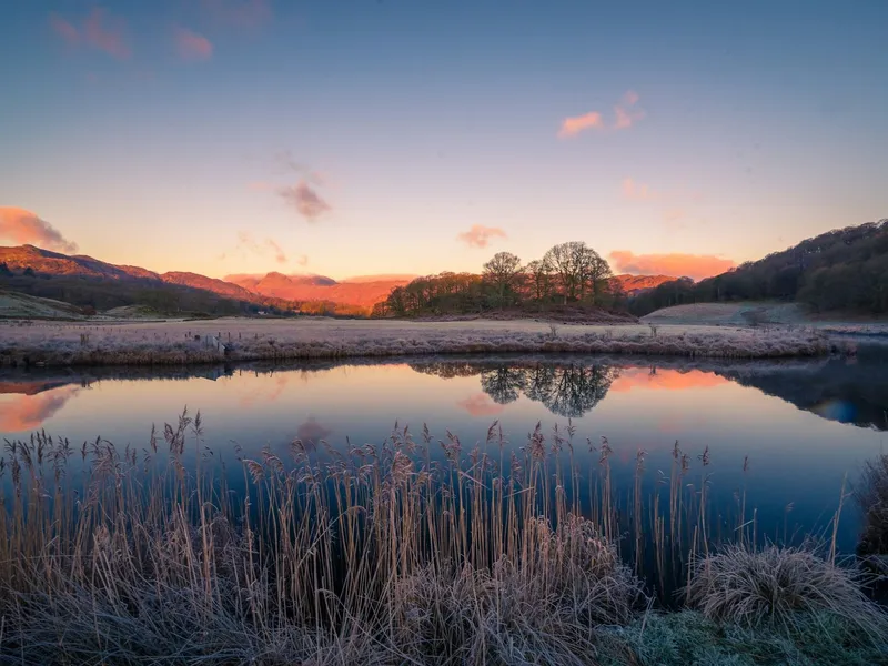 Frost-covered reeds beside still water reflecting trees and sunlit fells at dawn in Elterwater.