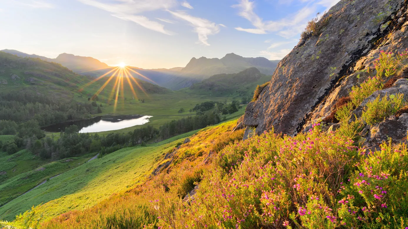 Sunset over a green mountain valley with a small lake, rocky hillside and pink wildflowers in the foreground.