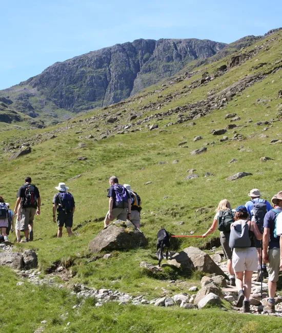 Group of hikers walking with a dog through a rocky green mountain valley beneath steep cliffs.