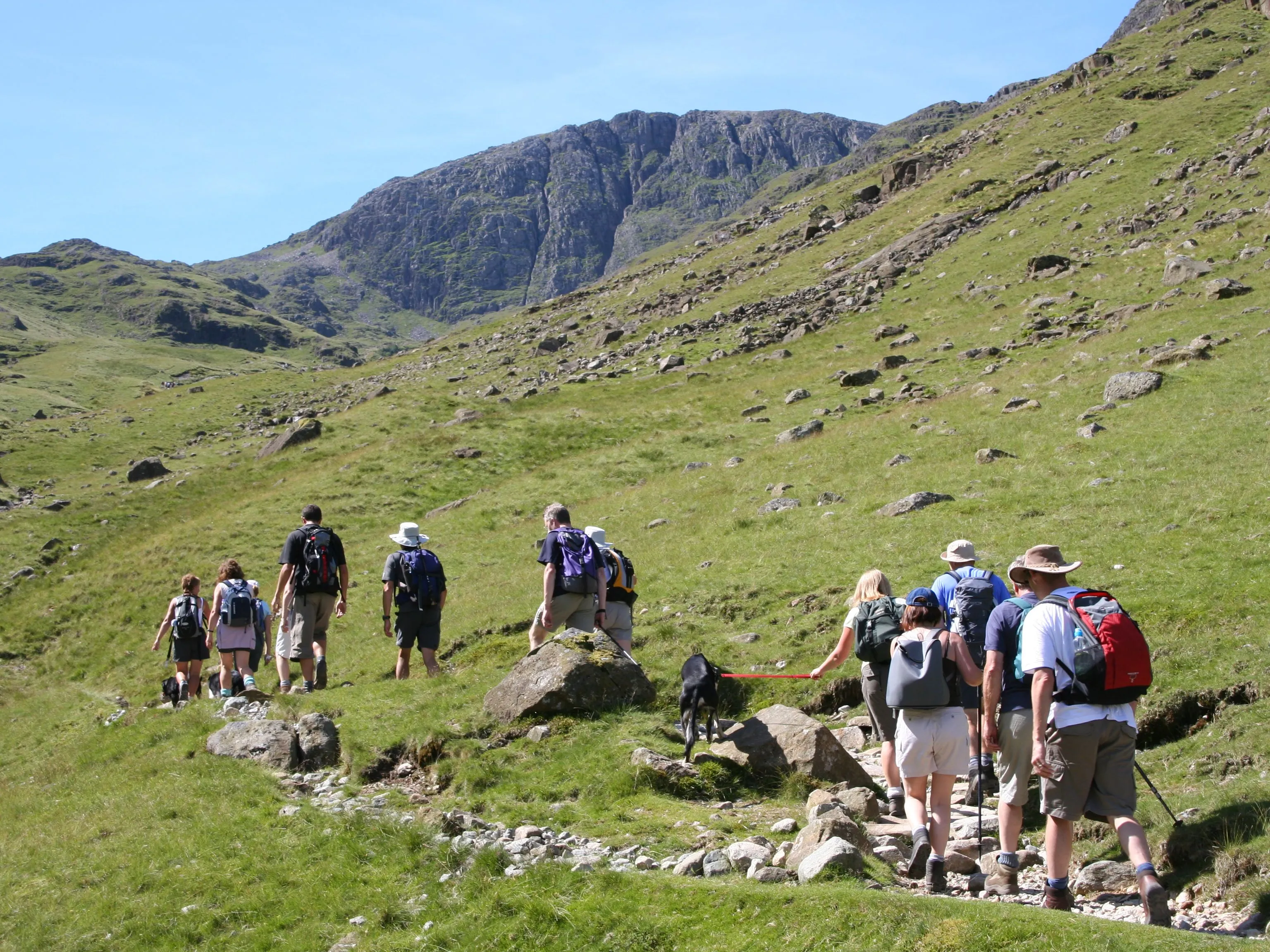 Group of hikers walking with a dog through a rocky green mountain valley beneath steep cliffs.