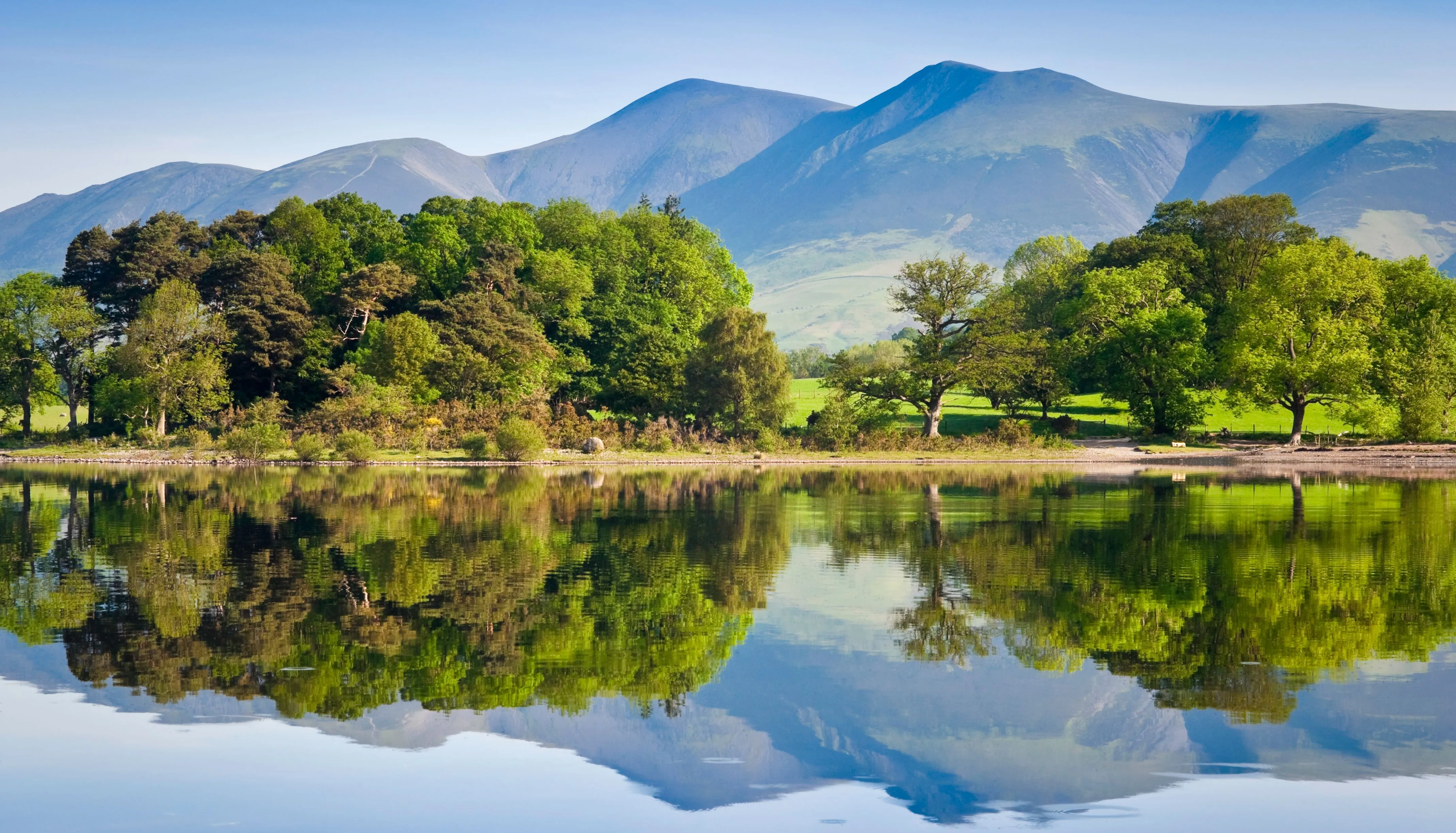 Tree-lined lakeshore and green mountains reflected in calm water beneath a clear blue sky