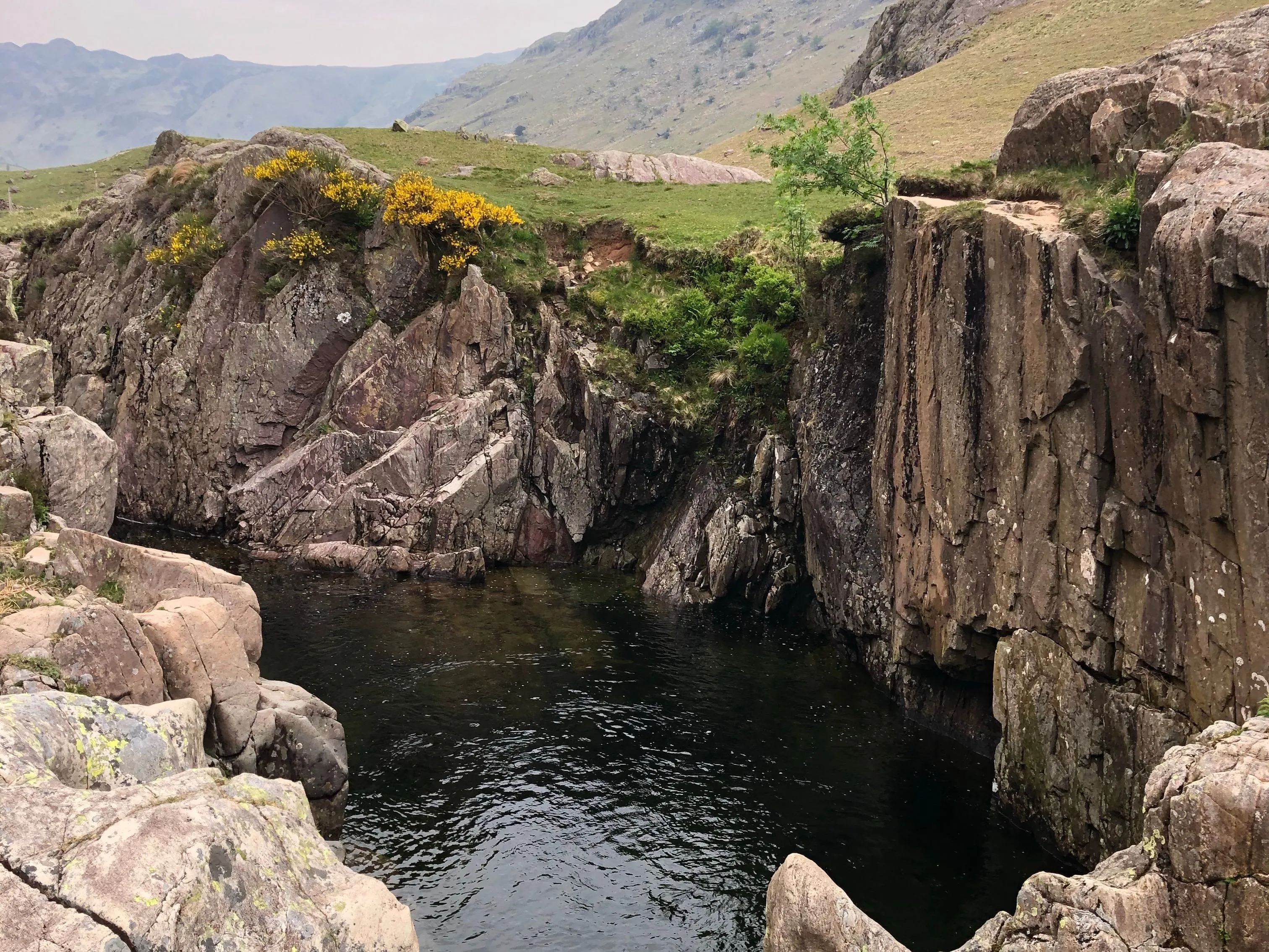 Rocky mountain gorge with a dark pool, grassy slopes and yellow wildflowers beneath a cloudy sky