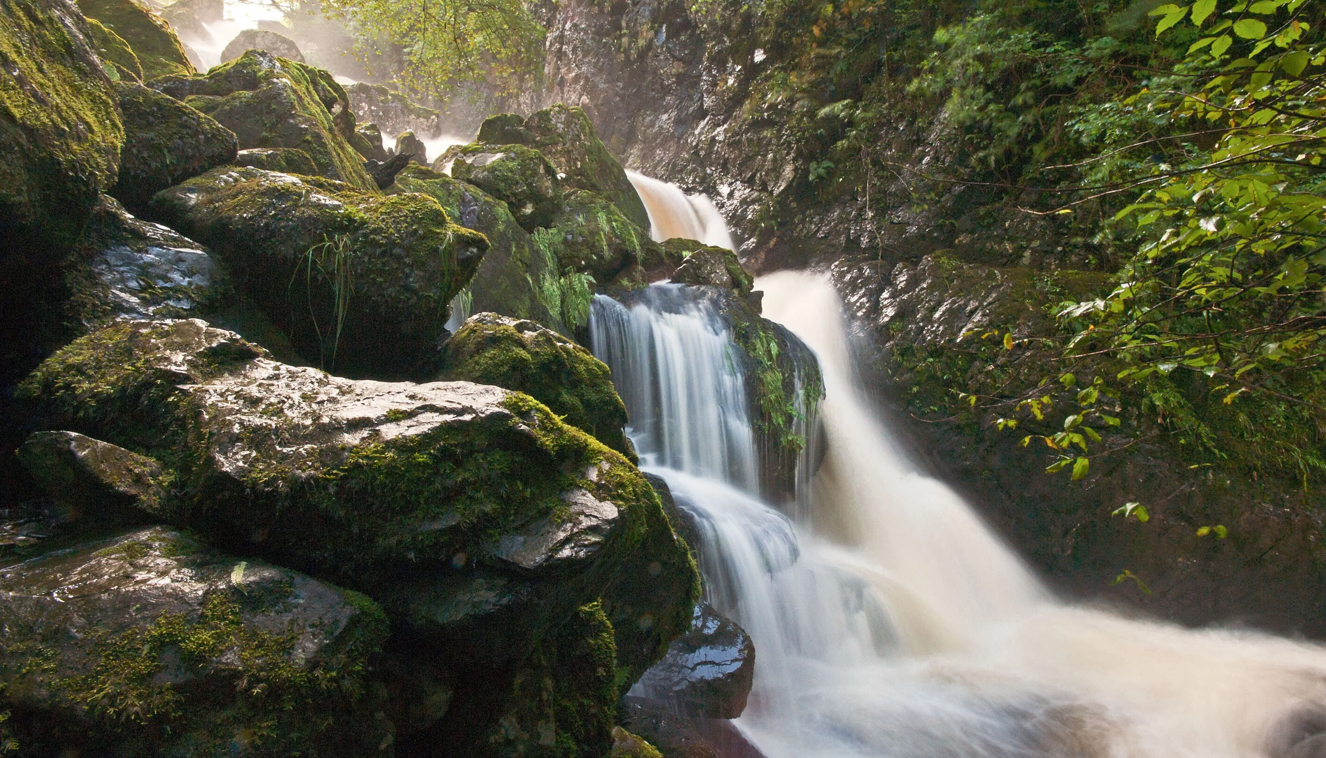 Sunlit waterfall cascading over moss-covered rocks in a lush woodland gorge