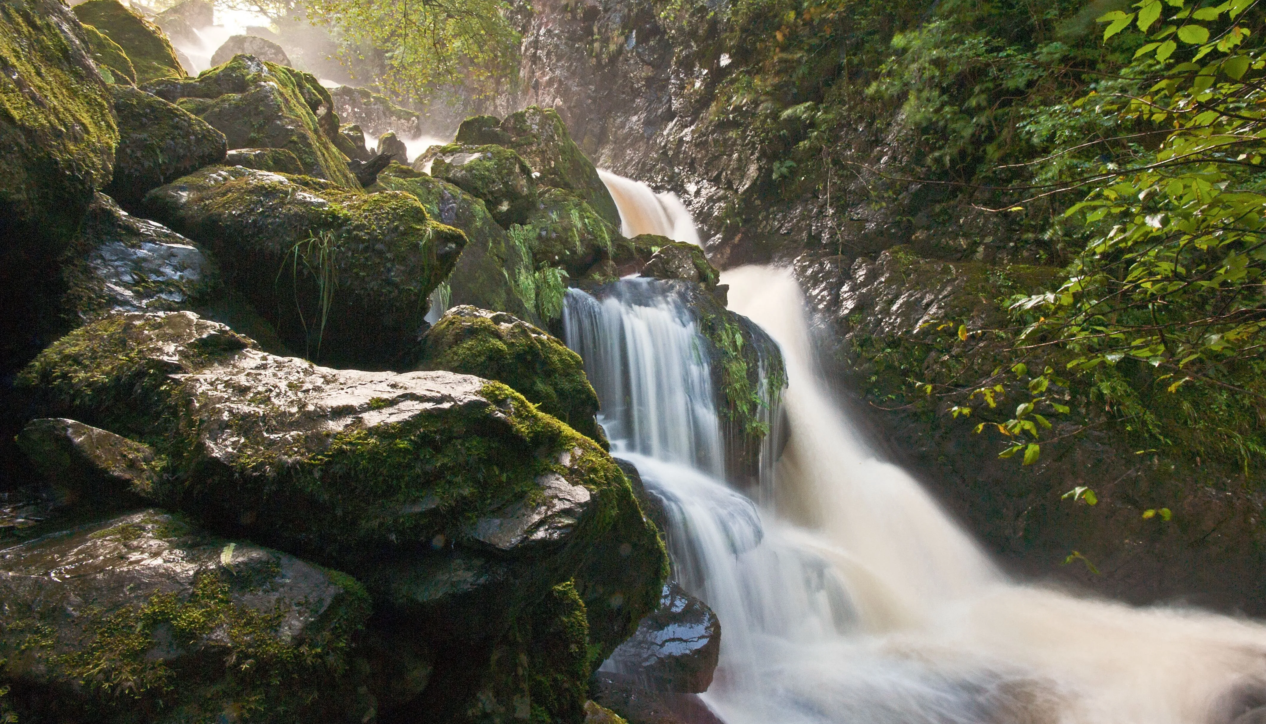 Sunlit waterfall cascading over moss-covered rocks in a lush woodland gorge