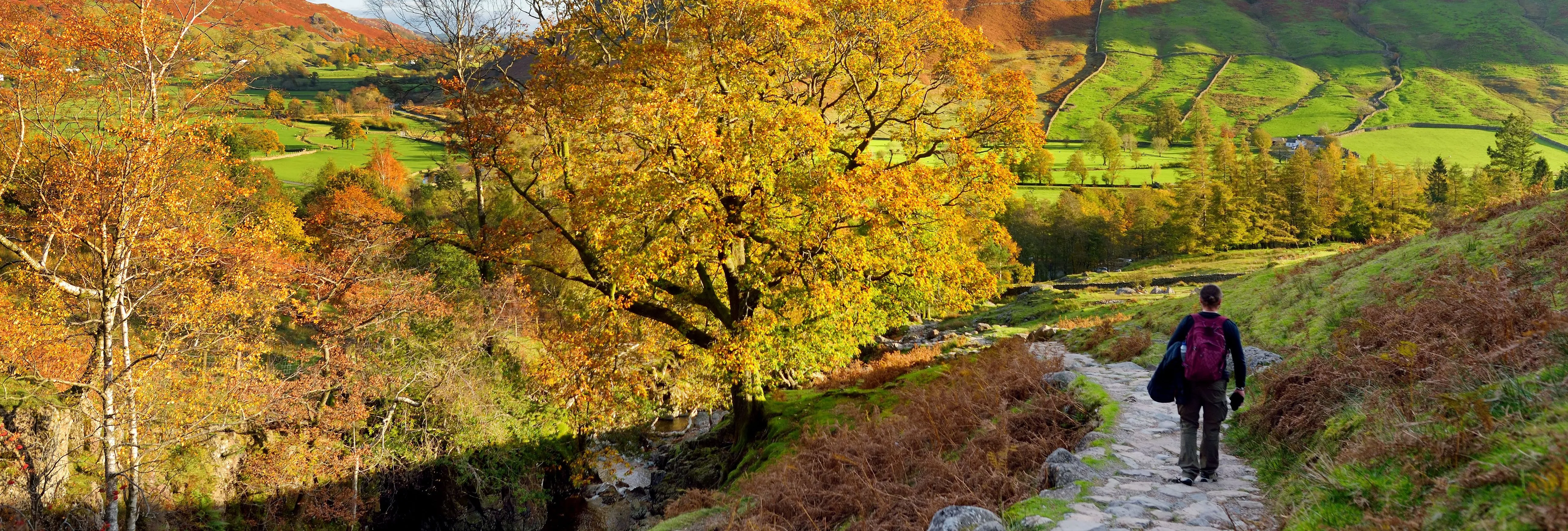 Hiker walking along a stone path through an autumn valley beneath green and russet hills