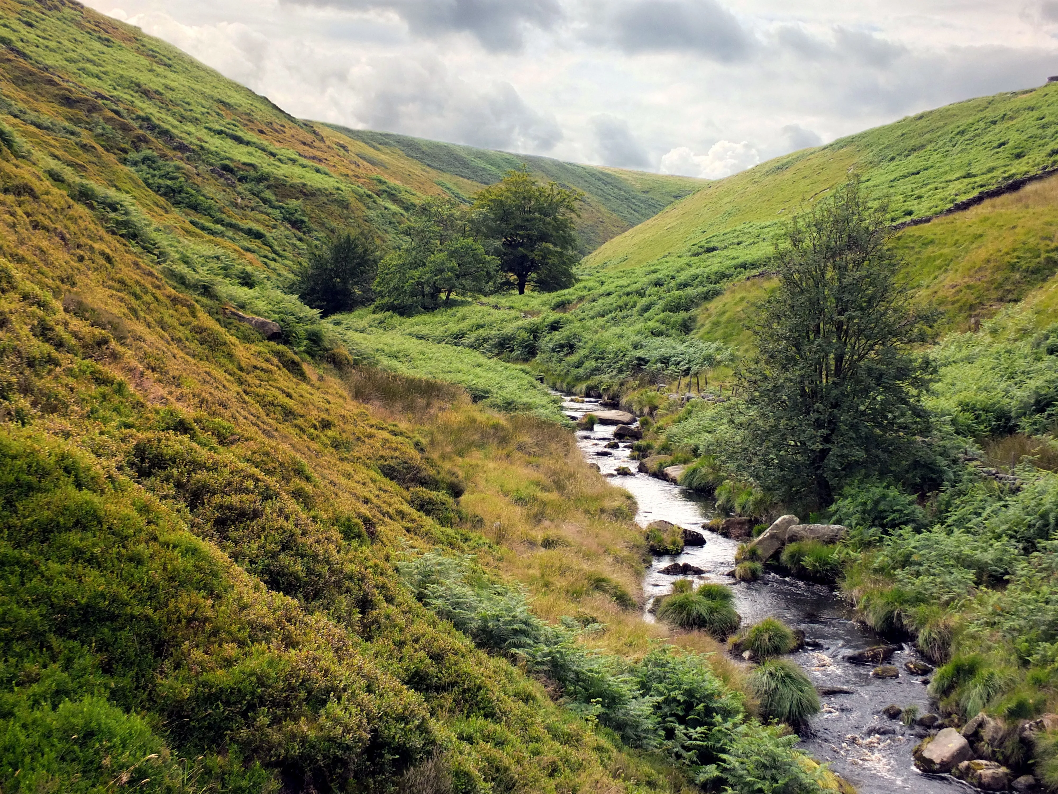 A winding stream flowing through a lush green valley beneath a cloudy sky.