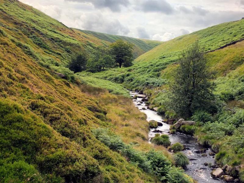 A winding stream flowing through a lush green valley beneath a cloudy sky.
