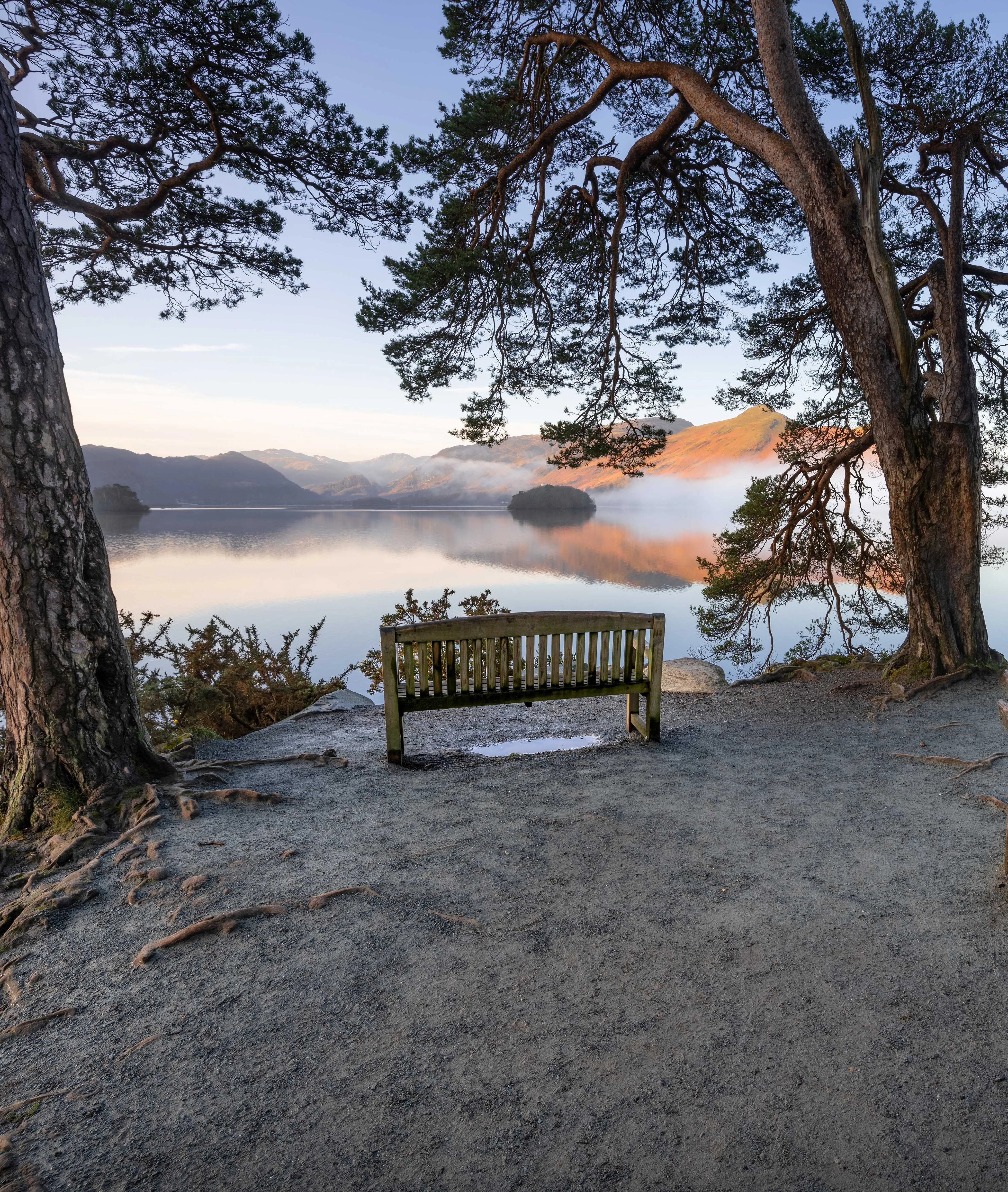 Wooden bench beneath pine trees overlooking misty Derwentwater and sunlit fells at Friars Crag.