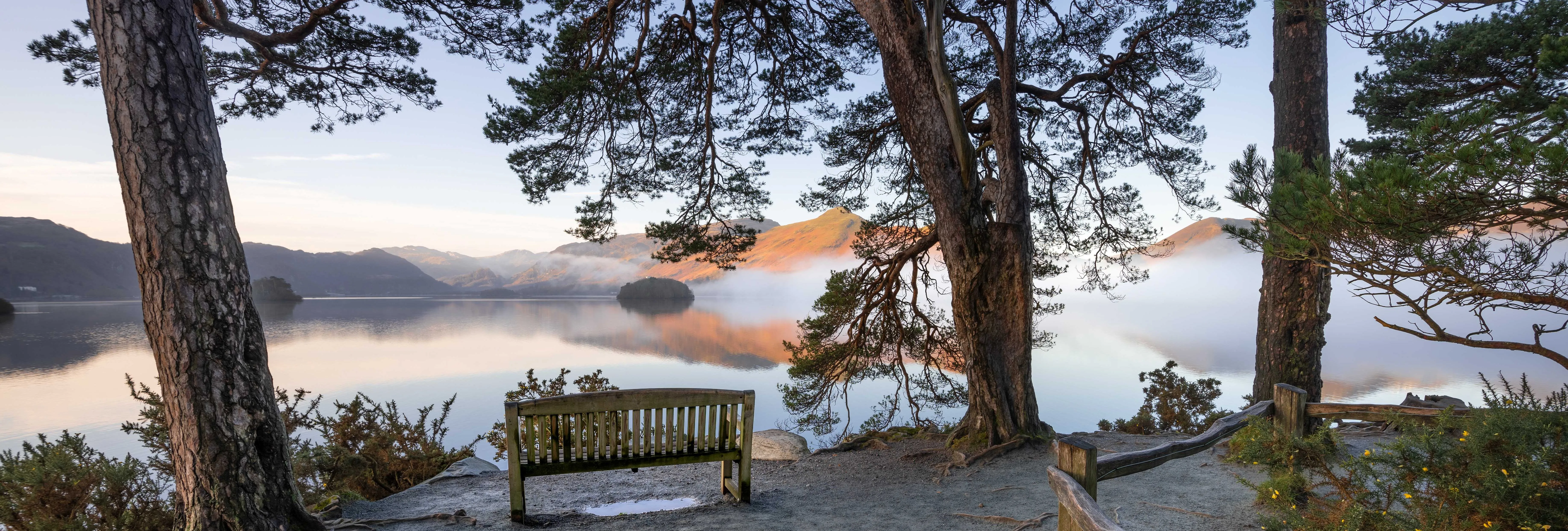 Wooden bench beneath pine trees overlooking misty Derwentwater and sunlit fells at Friars Crag.