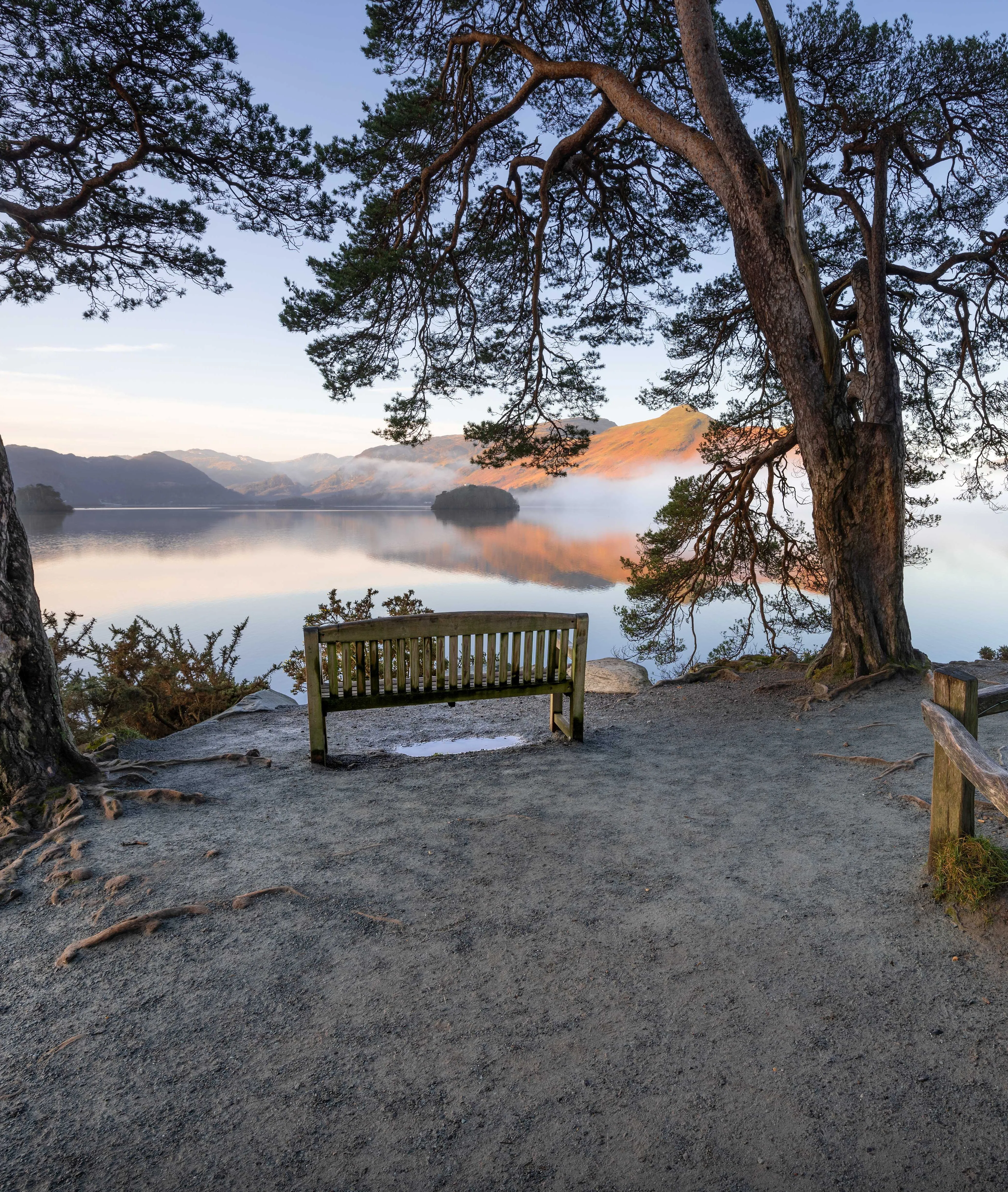 Wooden bench beneath pine trees overlooking misty Derwentwater and sunlit fells at Friars Crag.