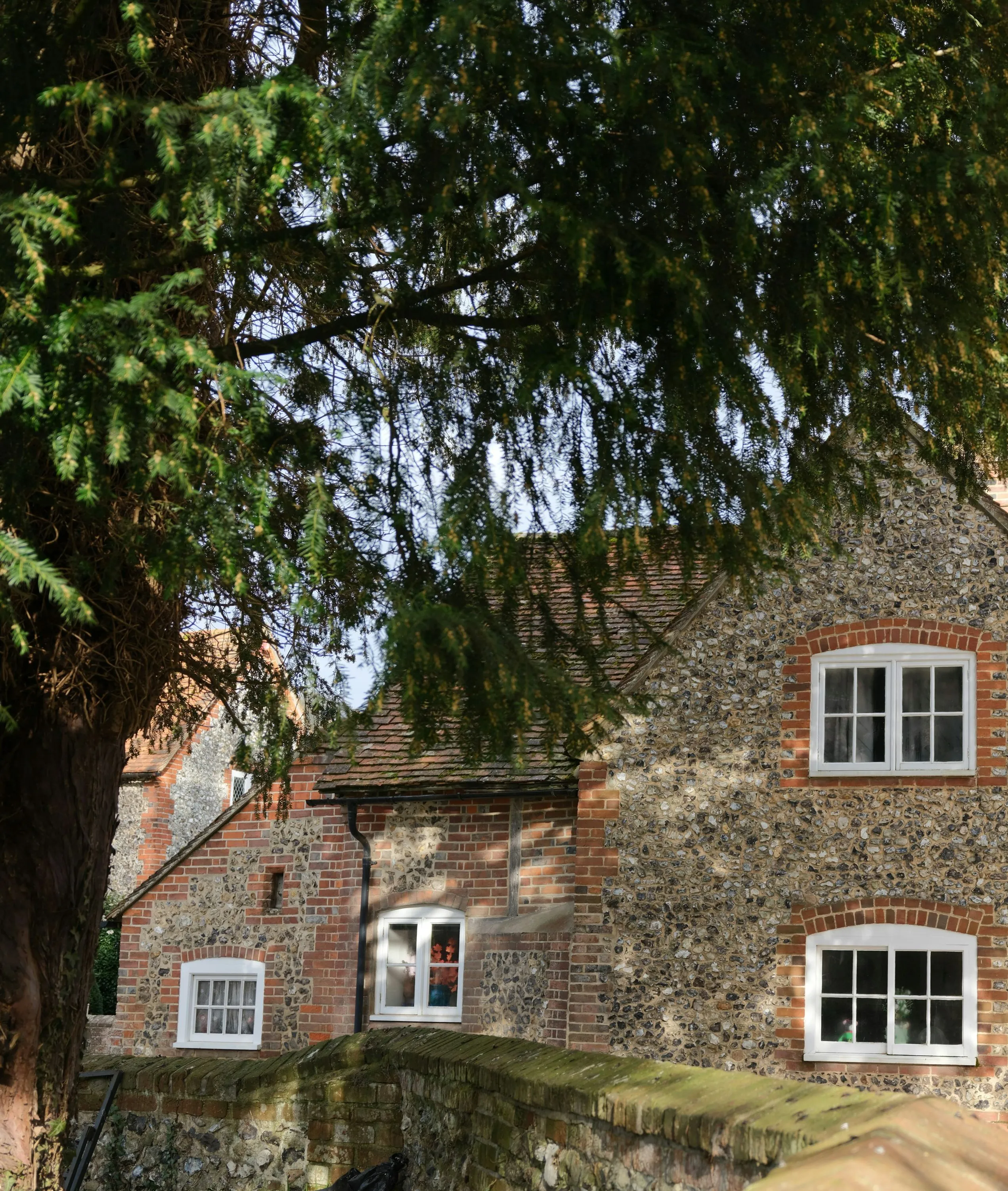 Traditional flint and brick cottage beneath a large evergreen tree in an English village