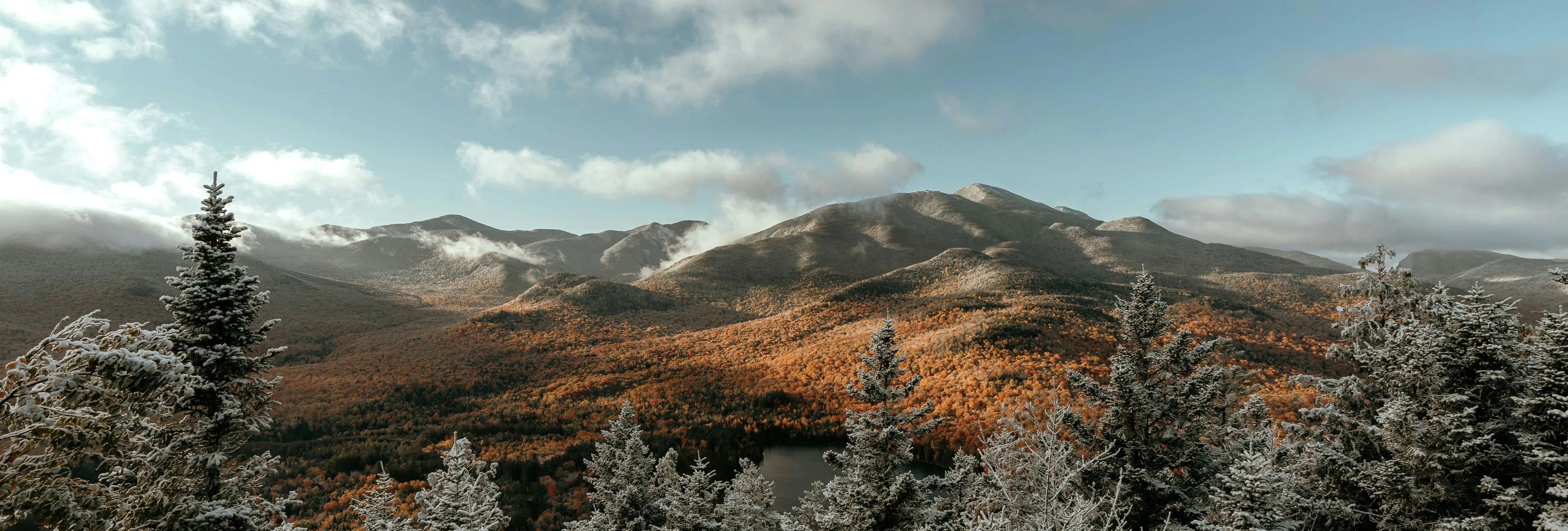 Snow-dusted evergreen forest overlooking autumn mountains beneath a cloudy sky
