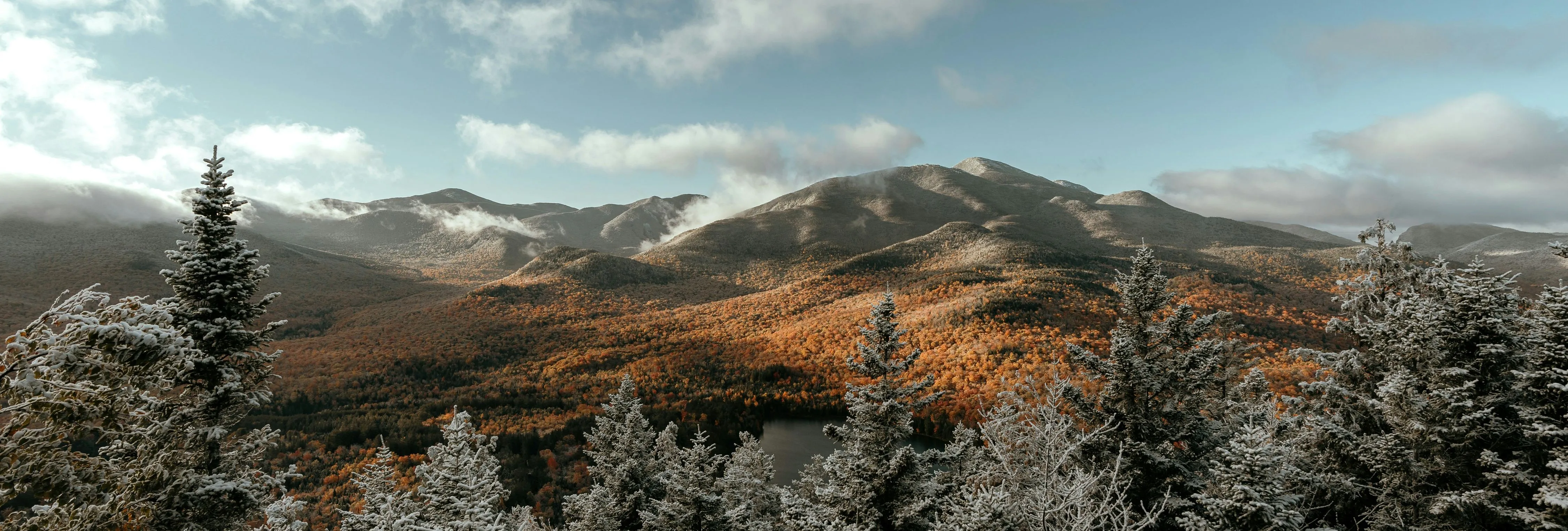 Snow-dusted evergreen forest overlooking autumn mountains beneath a cloudy sky