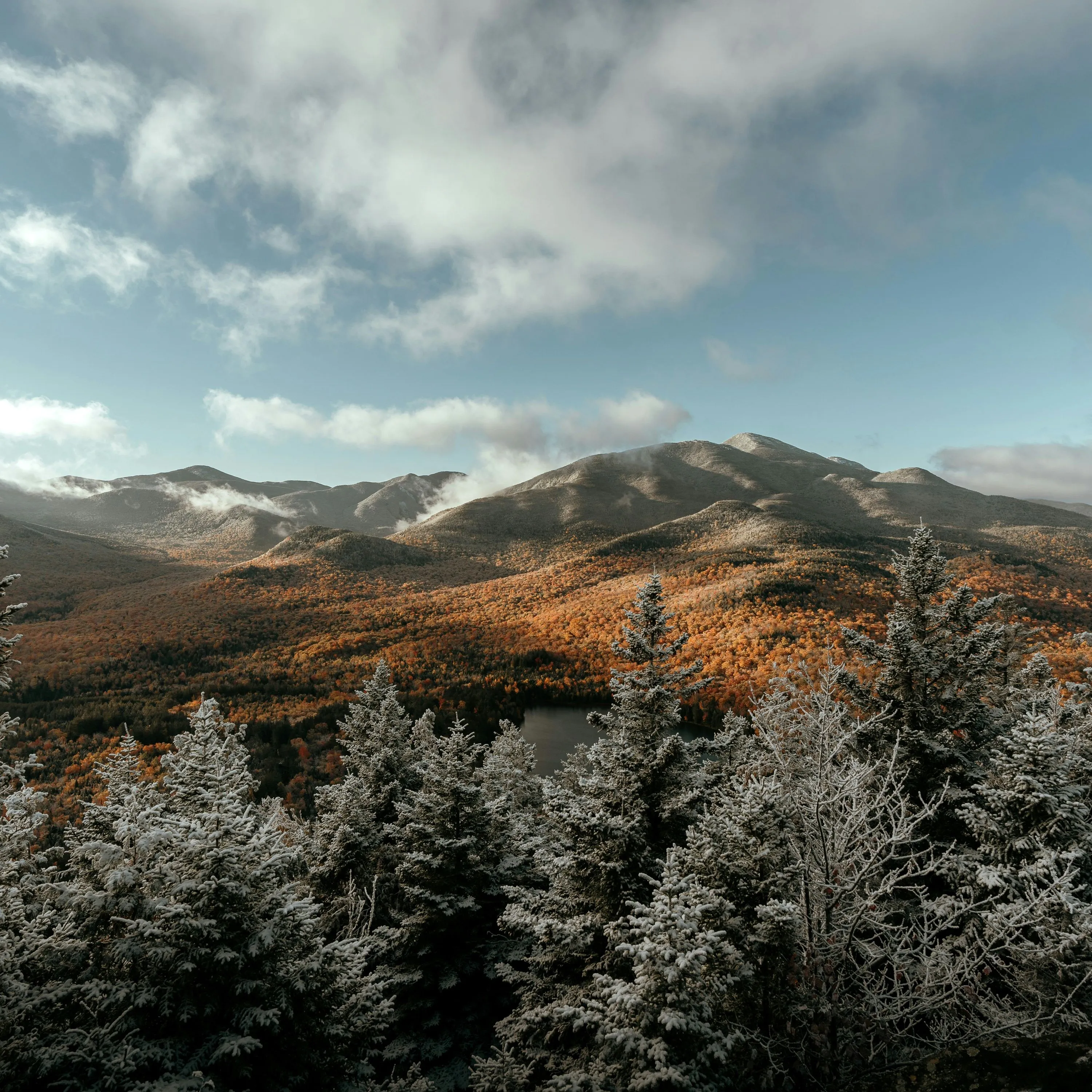 Snow-dusted evergreen forest overlooking autumn mountains beneath a cloudy sky