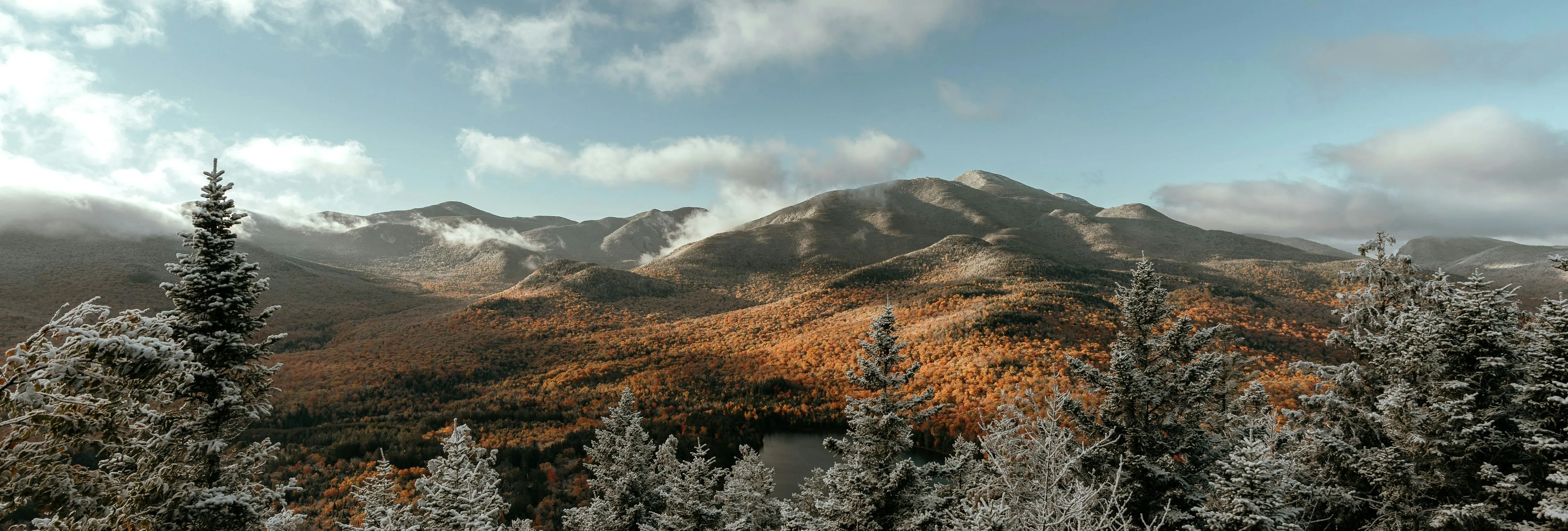 Snow-dusted evergreen forest overlooking autumn mountains beneath a cloudy sky