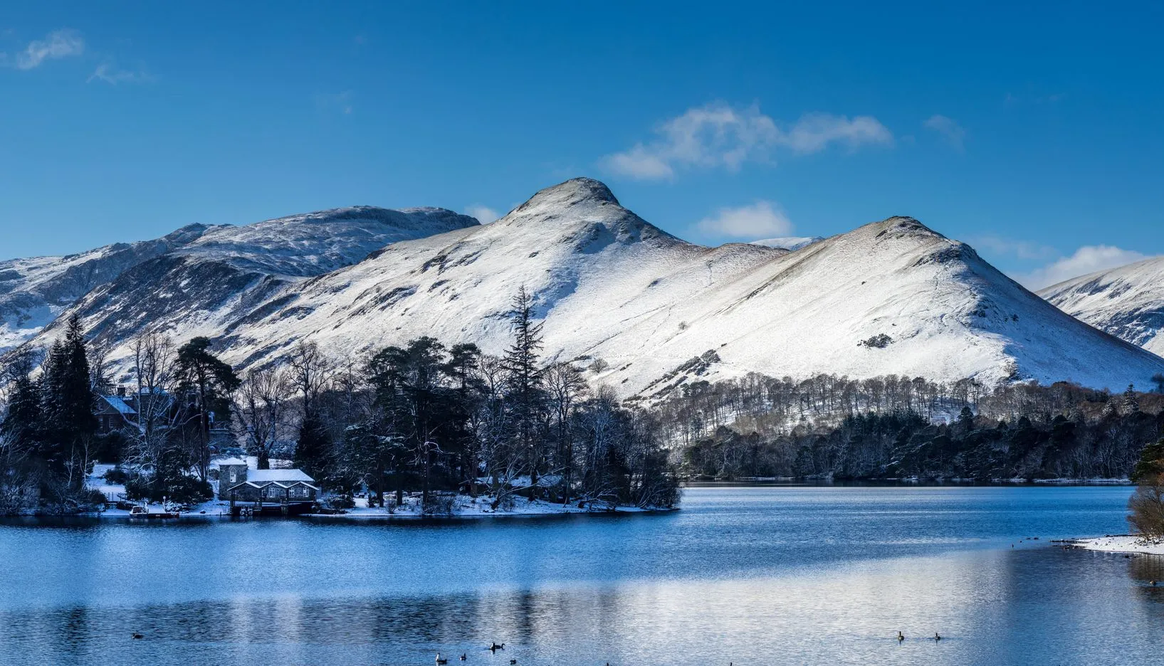 Snow-covered mountains rise behind a wooded island on a calm lake beneath a clear blue sky.
