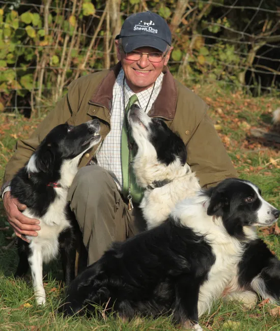 Smiling sheepdog handler sitting outdoors with three black-and-white border collies.