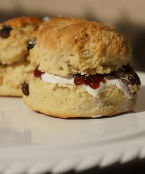 Two scones with raisins filled with clotted cream and jam on a white plate