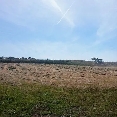 A field with freshly cut hay and a tractor in the distance under a blue sky