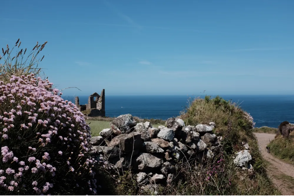 Coastal path with stone wall, wildflowers, and the ruins of an old building overlooking the sea under a clear blue sky