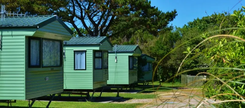 Row of green holiday caravans surrounded by trees and greenery