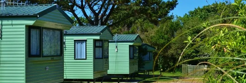 Row of green holiday caravans surrounded by trees and greenery