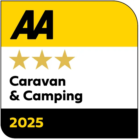 AA Awards