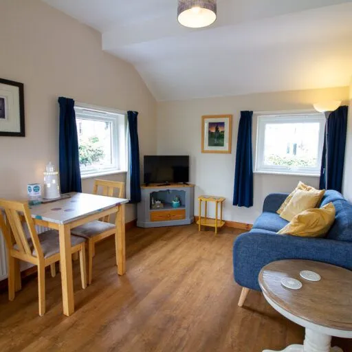 Cozy living and dining area in a small apartment with wooden floor, blue sofa, dining table with two chairs, and TV by the window.