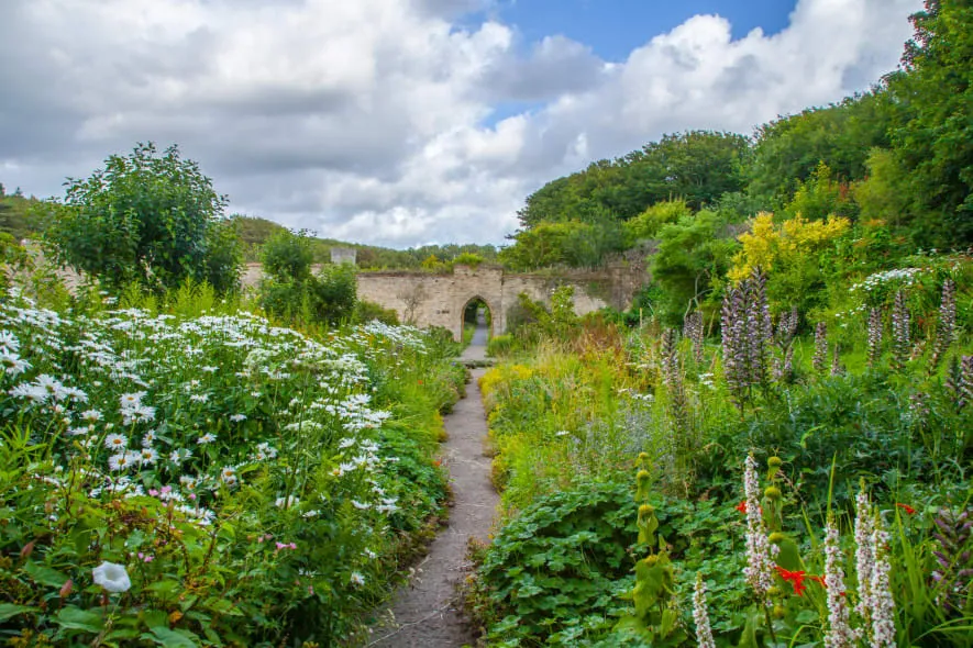 A garden path lined with wildflowers leads to an old stone archway covered in greenery, surrounded by dense plants and soft, natural light.