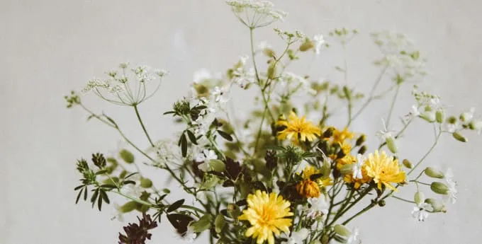 Dainty flowers