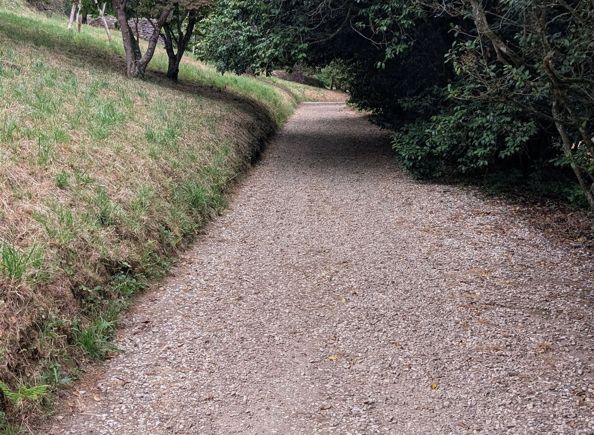 Wide gravel path curving through dense trees and shrubs in a wooded landscape.